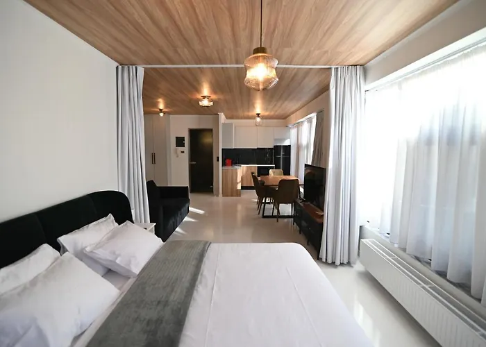 Modern Downtown Apartment + Free Parking